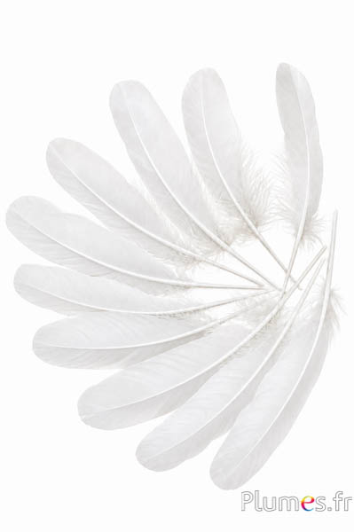 Gans - 15-21 cm - weiss